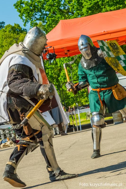 Dzień Lilaka 2018 Chorągiew Piastów Śląskich pokaz