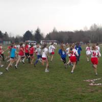 Otwarte biegi przełajowe 2013 bieg