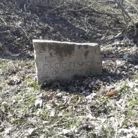 Grodzisko w Milinie 2013