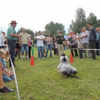 Dożynki Gminne 2014 turniej sołectw